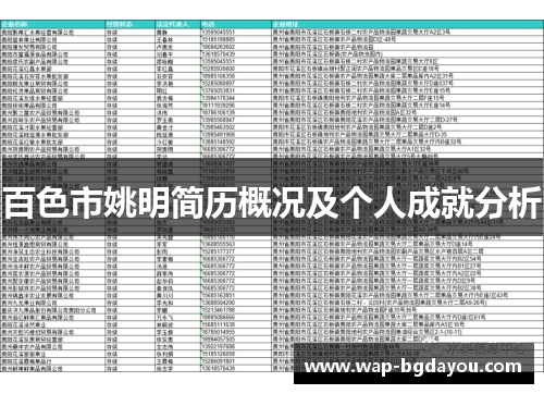 百色市姚明简历概况及个人成就分析