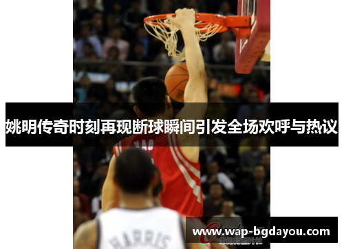 姚明传奇时刻再现断球瞬间引发全场欢呼与热议
