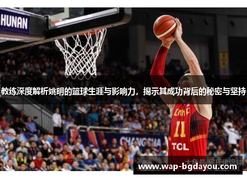 教练深度解析姚明的篮球生涯与影响力，揭示其成功背后的秘密与坚持